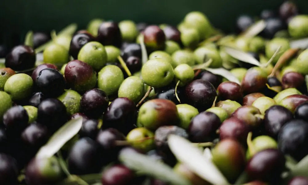 a pile of green and black olives sitting on top of each other