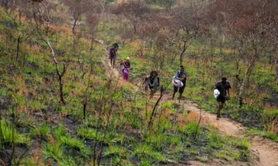 A group of people walking down a dirt road