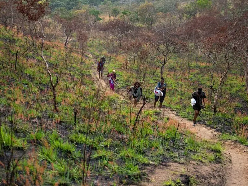 A group of people walking down a dirt road