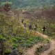 A group of people walking down a dirt road