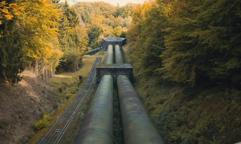 metal pipe between trees at daytime
