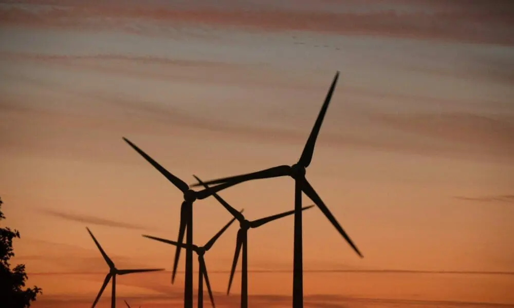 windmills during golden hour