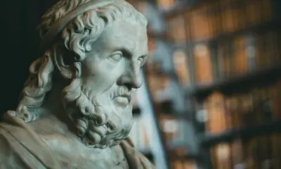 Close-up of a classical marble statue with blurred bookcases in the background.