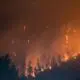 trees on fire