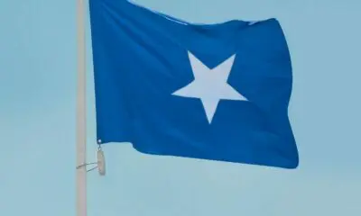 a blue flag on a pole