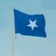 a blue flag on a pole