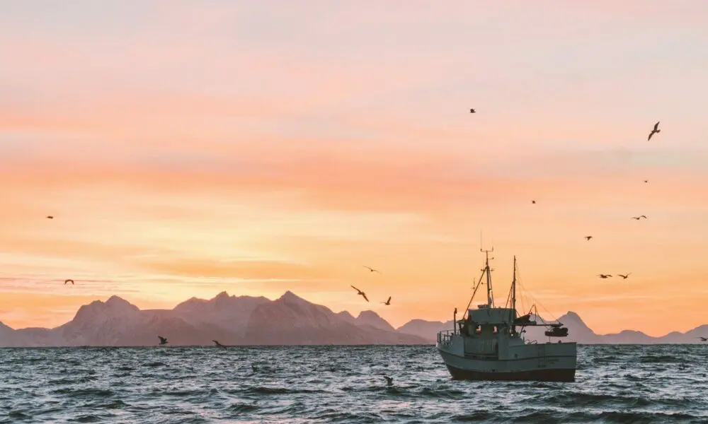 white sailboat in body of water during sunset
