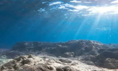 Sunlight streams through ocean water onto rocky seabed