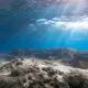 Sunlight streams through ocean water onto rocky seabed