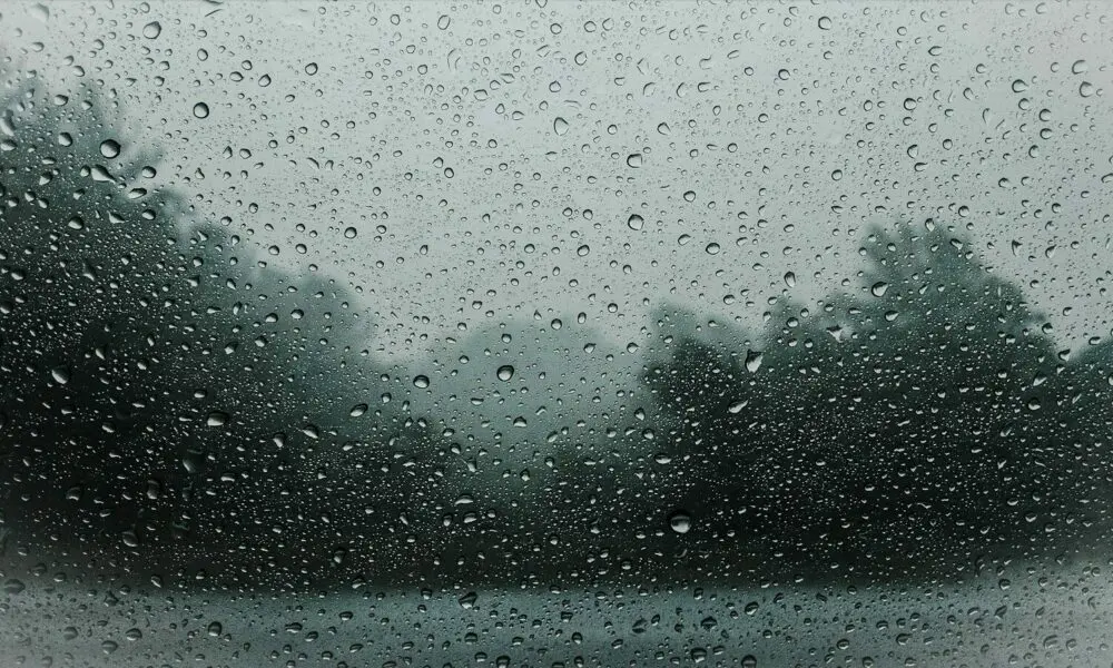 Raindrops on a window pane with blurred trees in the background