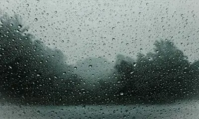 Raindrops on a window pane with blurred trees in the background